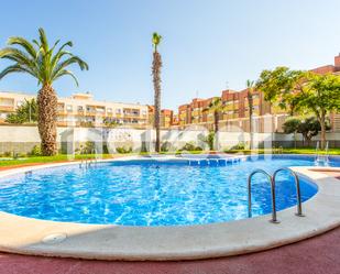 Swimming pool of Flat for sale in Torrevieja  with Swimming Pool