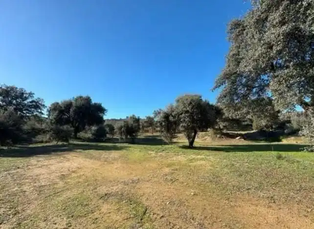 Casa amb jardí en venda a Los Cigarrales - La Bastida, imagen 48