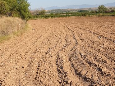 Terreno rustico in vendita a Alberite