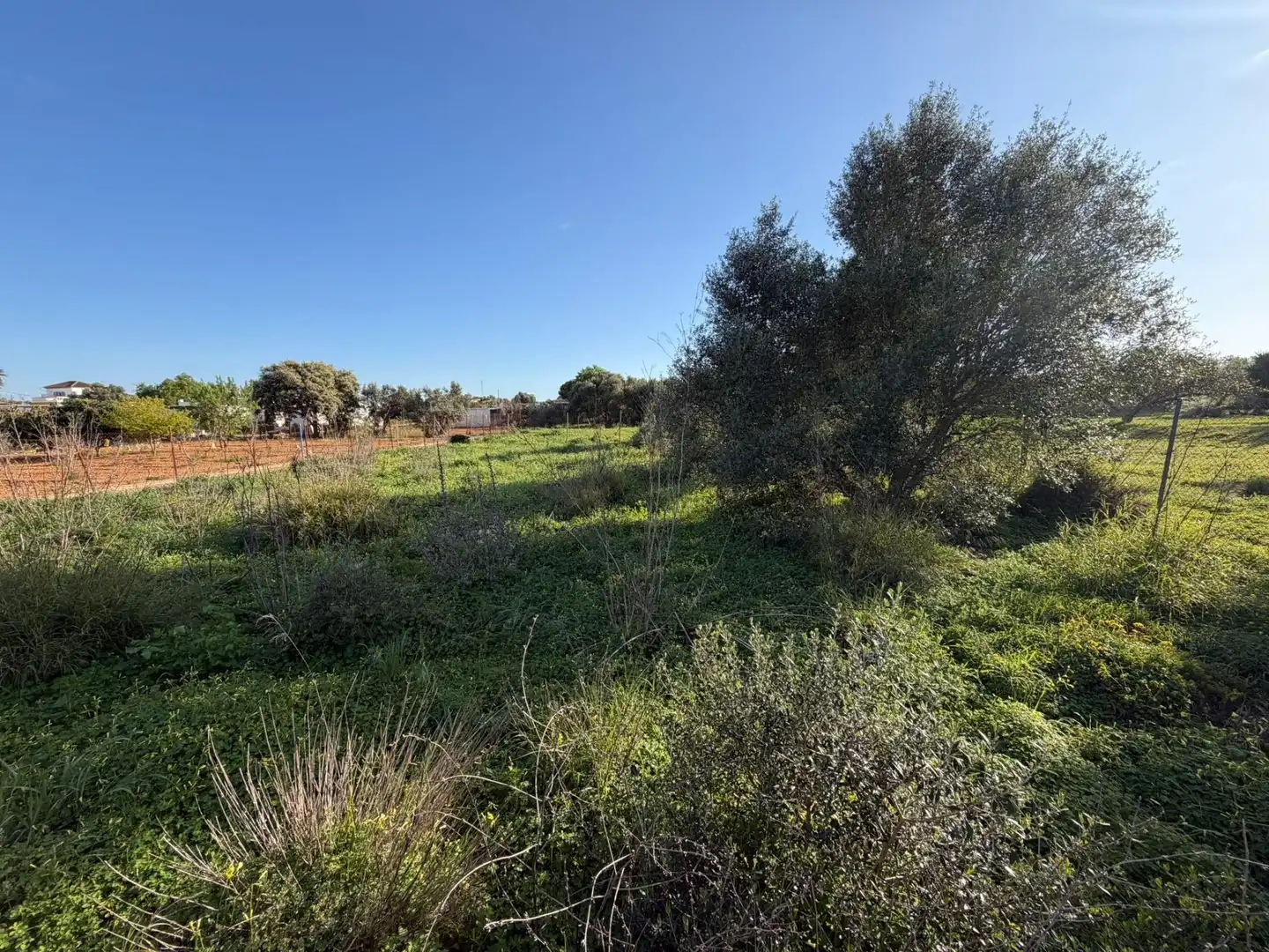 Terrenys i solars en venda a La Soledad