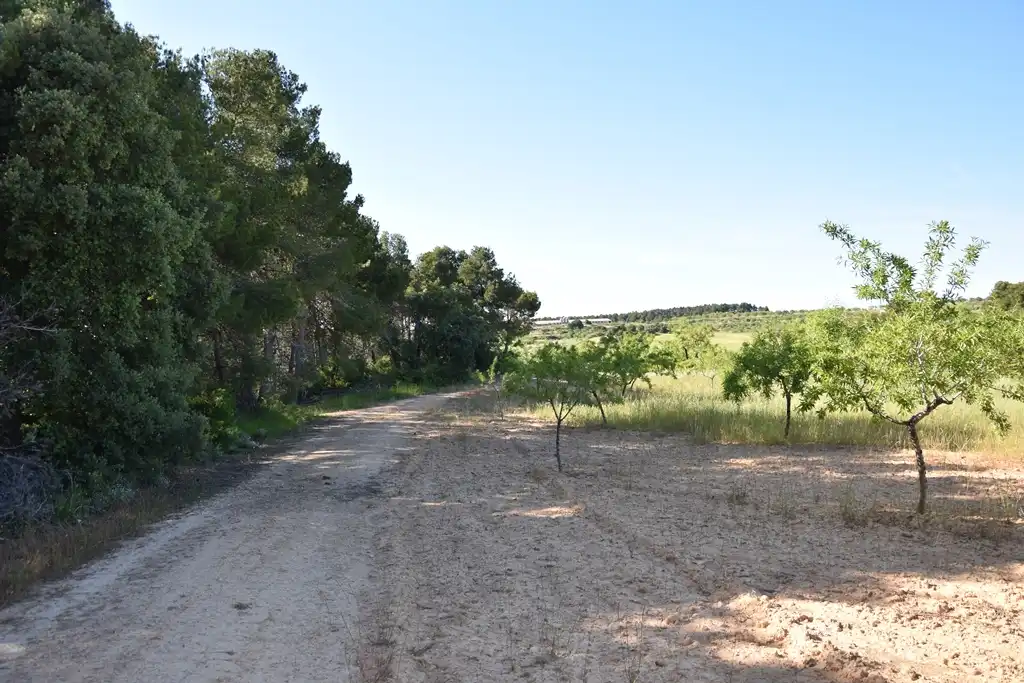 Terreni e lotti in vendita a Valderrobres, imagen 7