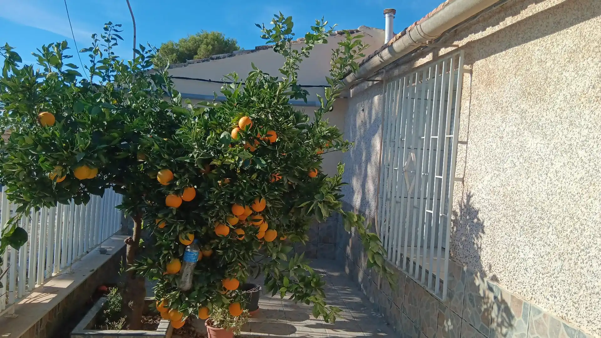 Exterior view of Houses for sale in Murcia  with Air Conditioner, Private garden and Terrace