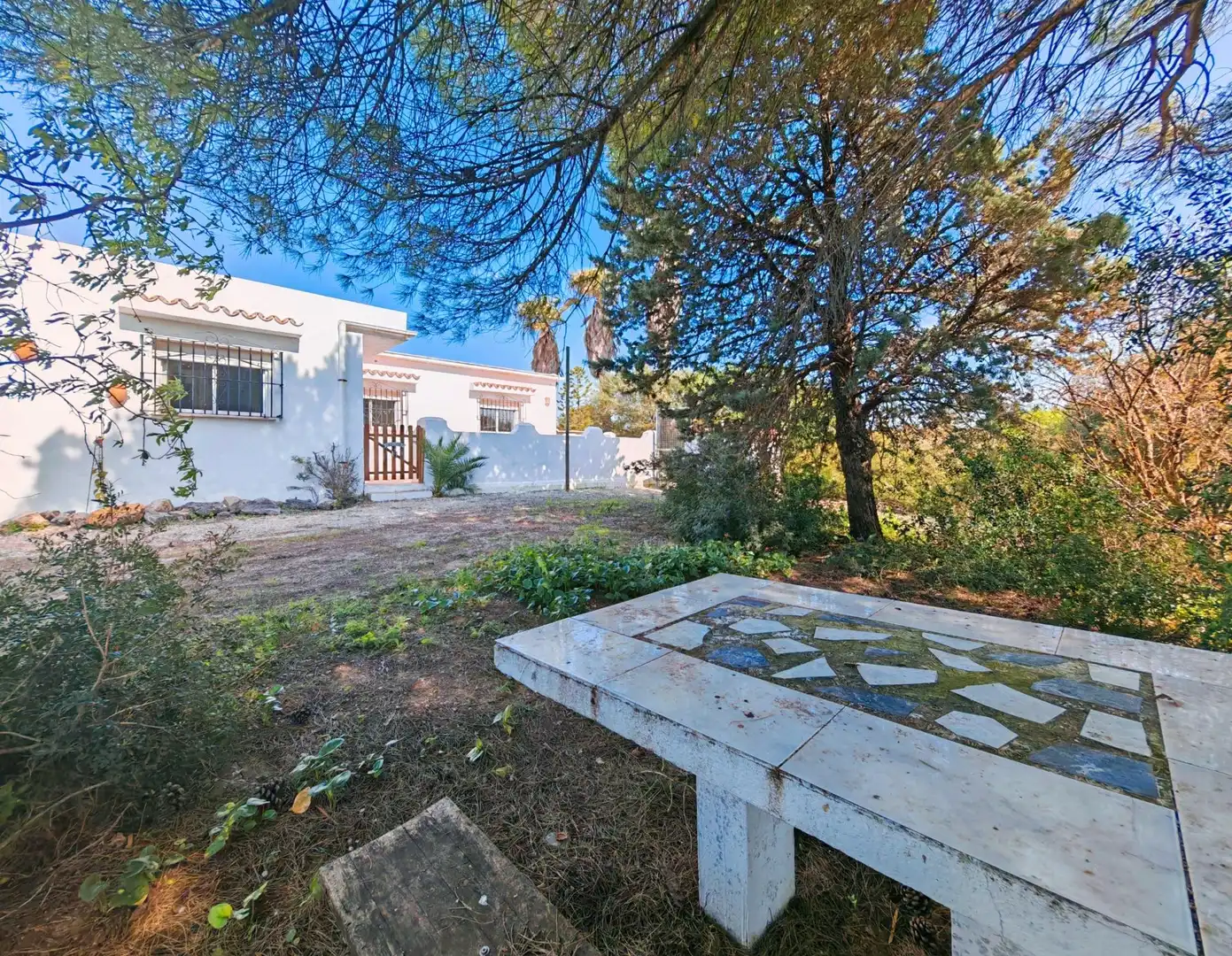 Vista exterior de Casa o chalet en venta en Medina Sidonia con Jardín privado, Piscina y Amueblado
