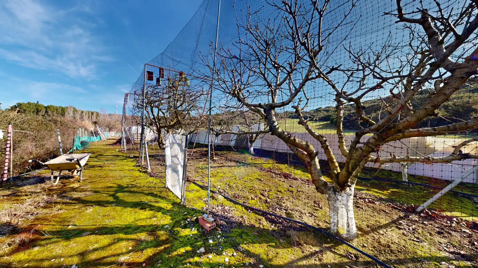 Rural land for sale in Tafalla - TERMINO JUNCAL, imagen 22