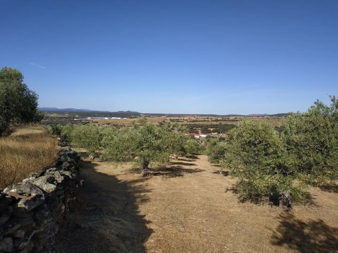 Terreni e lotti in vendita a Malpartida de Plasencia