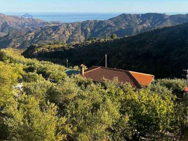 Finca rústica en Venta en Lentegí