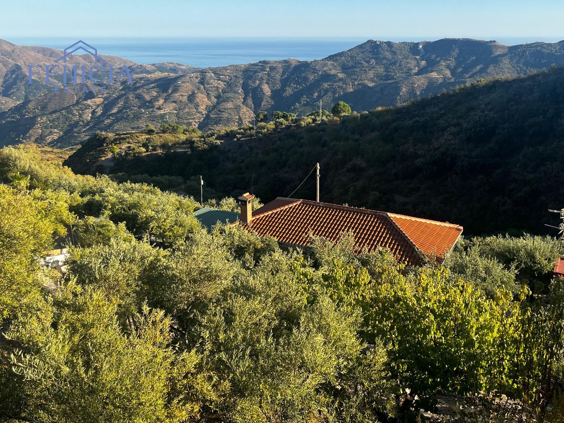Vista exterior de Finca rústica en venda en Lentegí amb Aire condicionat, Traster i Piscina