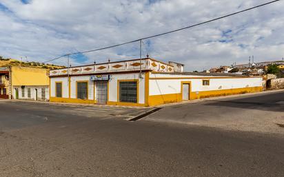 Exterior view of Premises for sale in Villanueva del Río y Minas  with Heating