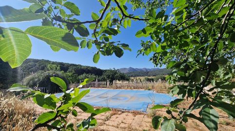 VENTA PARCELA CON CASA Y PISCINA. GRAZALEMA, immagine 5