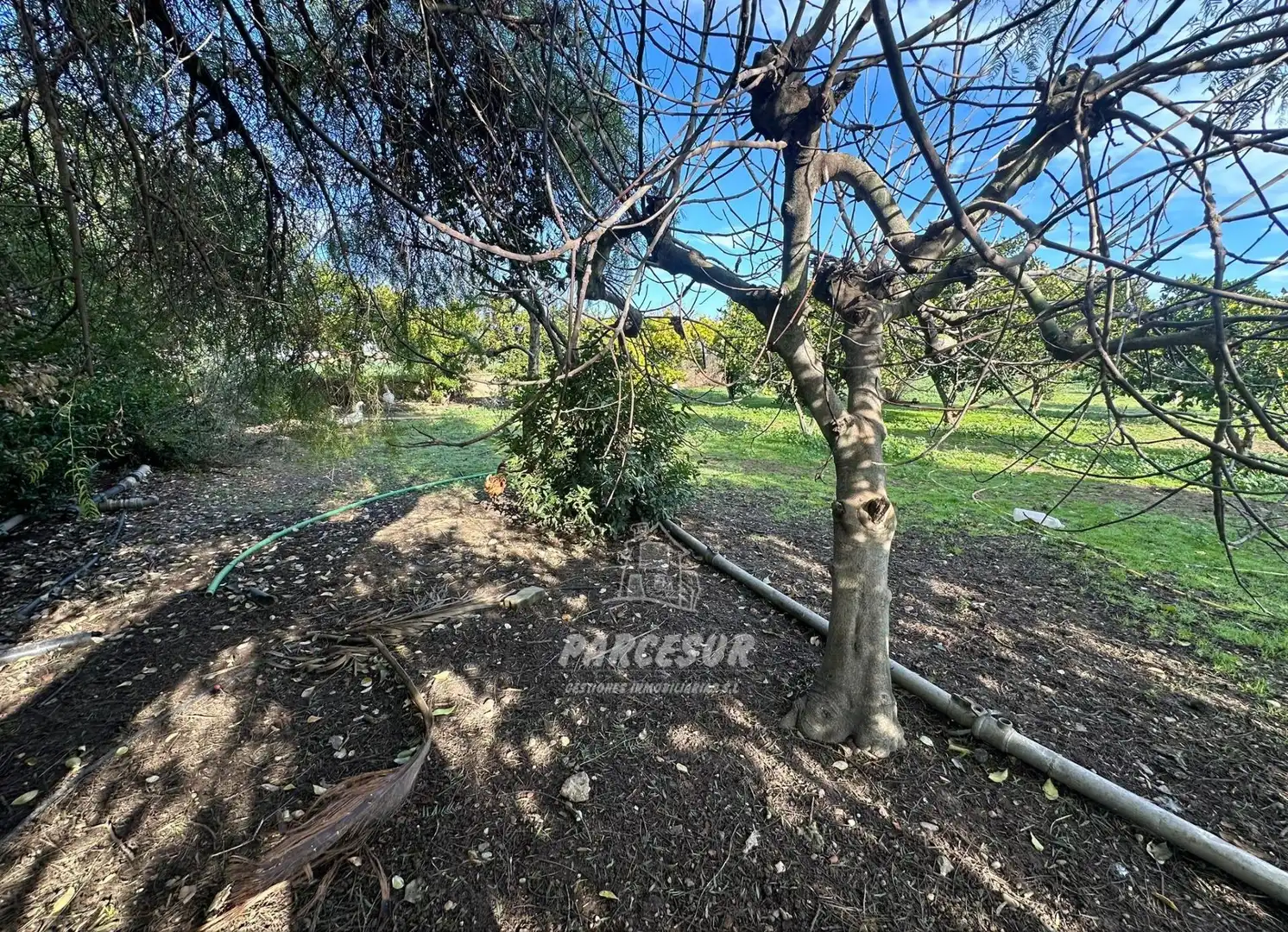 Garten von Country house zum Verkauf in Córdoba mit Schwimmbad