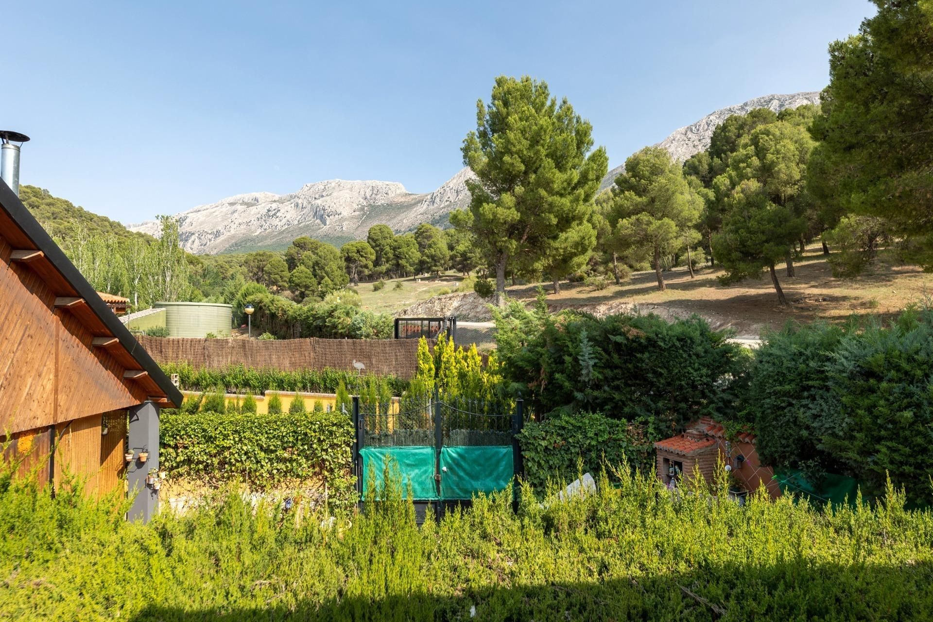 Garden of House or chalet for sale in Dehesas Viejas  with Terrace