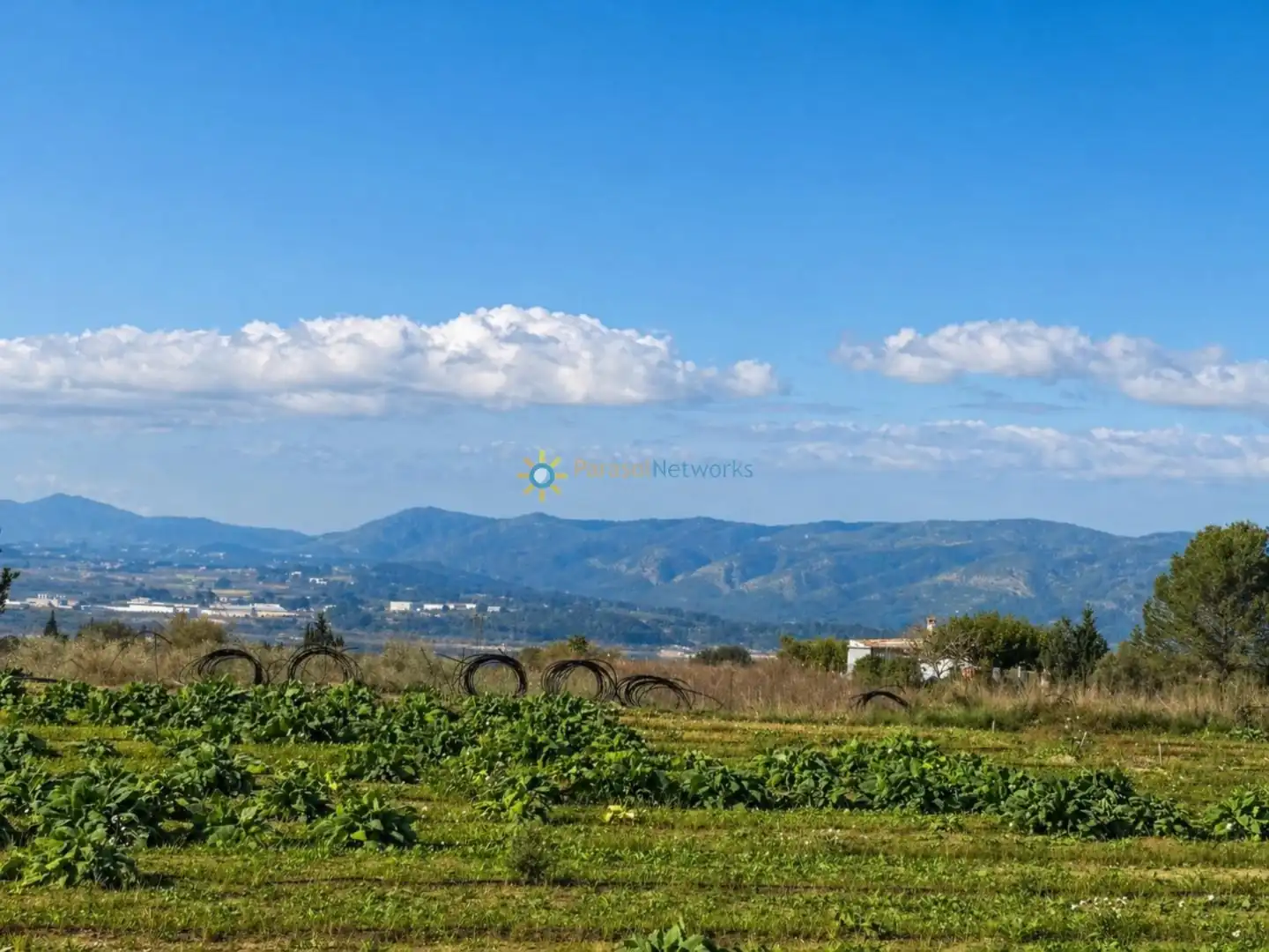 Finca rústica en venta en Benigànim con Terraza y Trastero