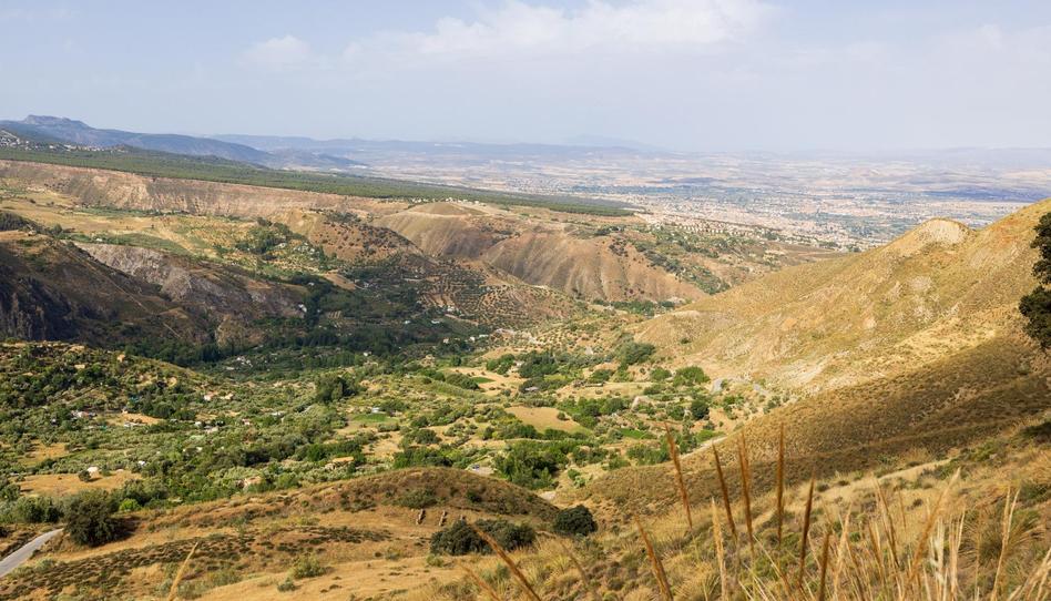 Photo 1 of Land for sale in  Haza del Collado, Zona baja, Granada