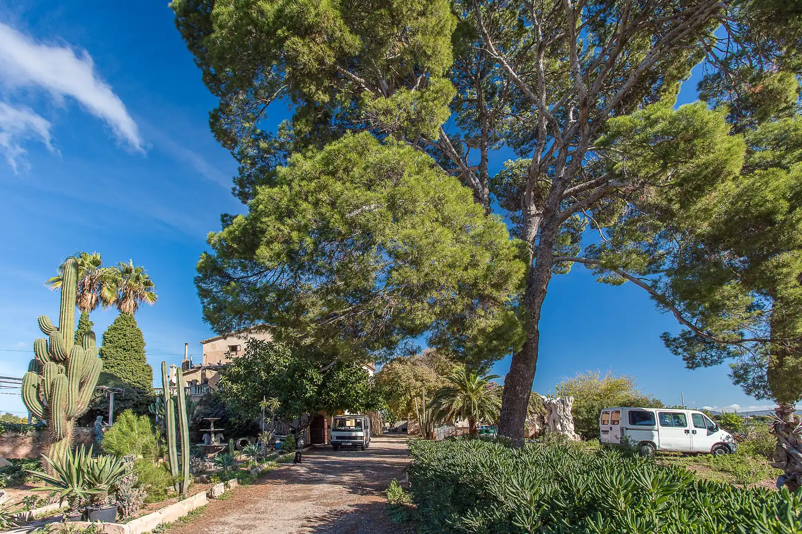 Finca rústica en venta en Carrer Can Mas, 26, Els pla de na Tesa