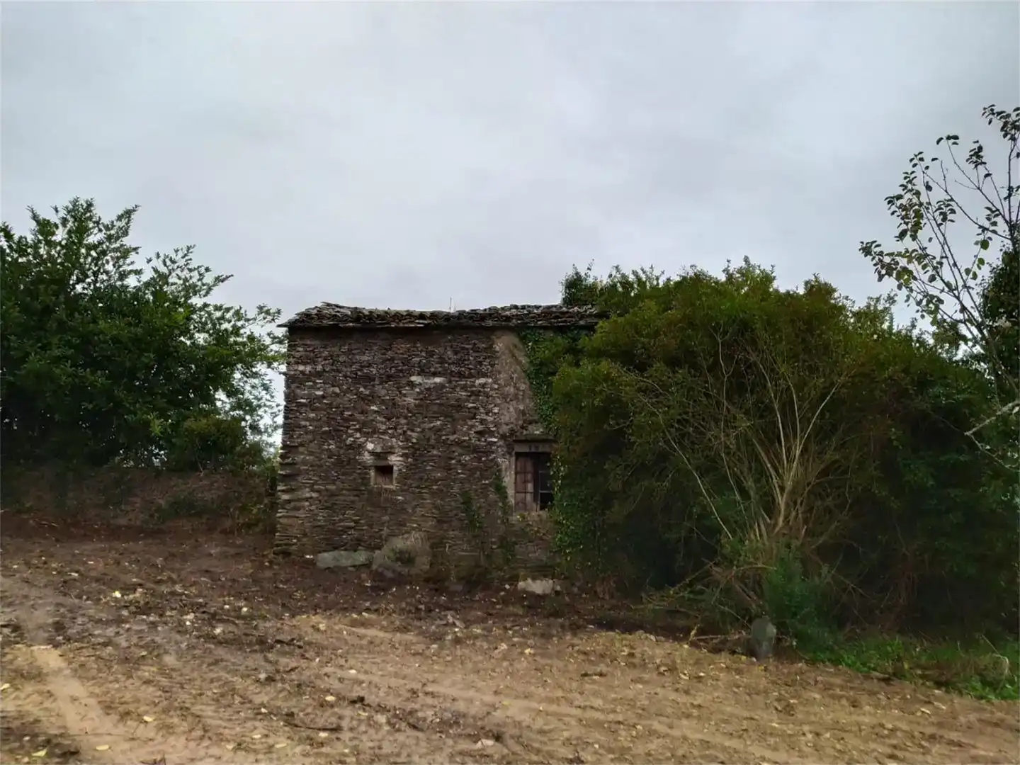 Vista exterior de Finca rústica en venta en Frades
