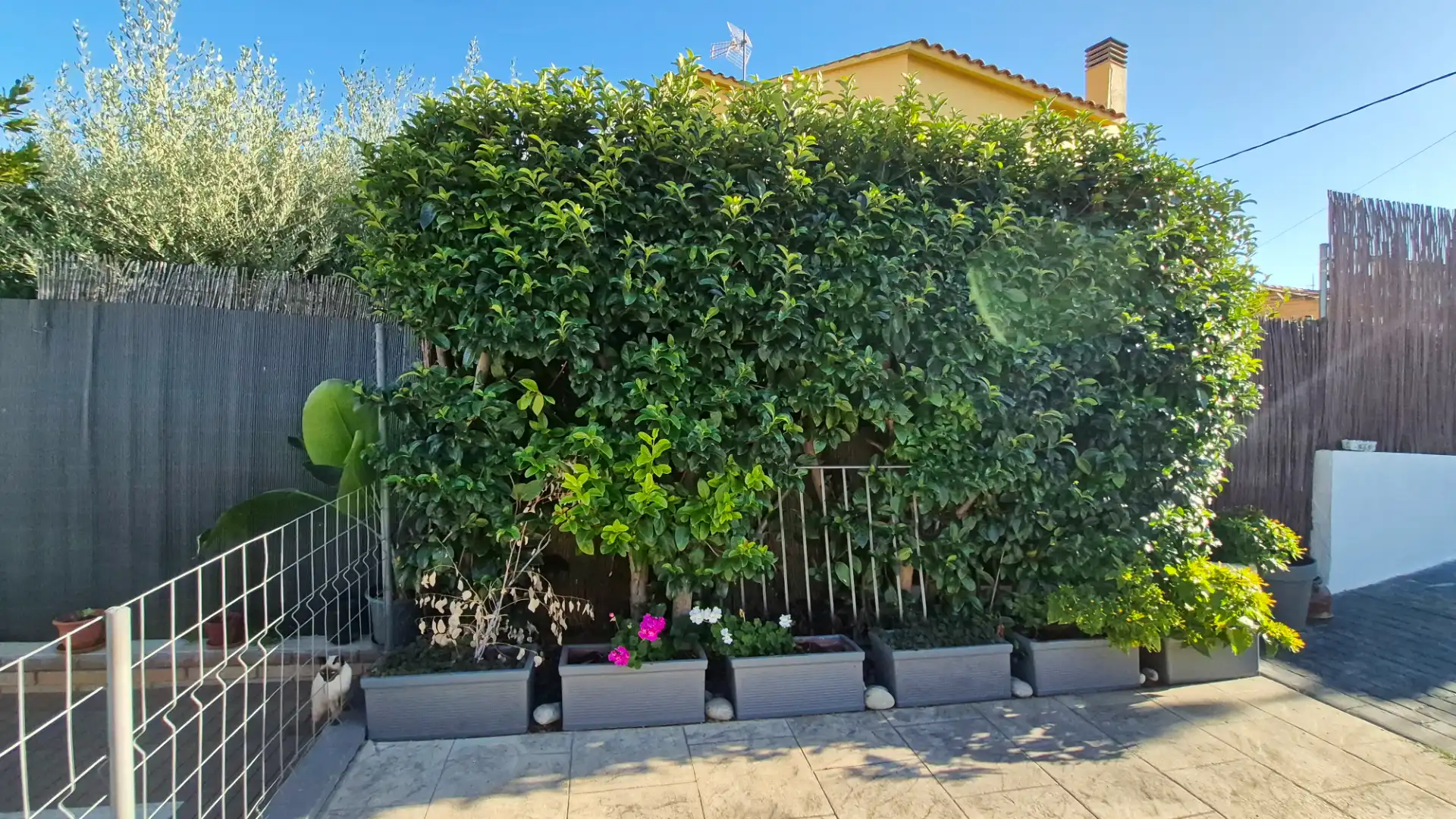 Jardín de Casa o chalet en venta en Rubí con Aire acondicionado, Calefacción y Jardín privado
