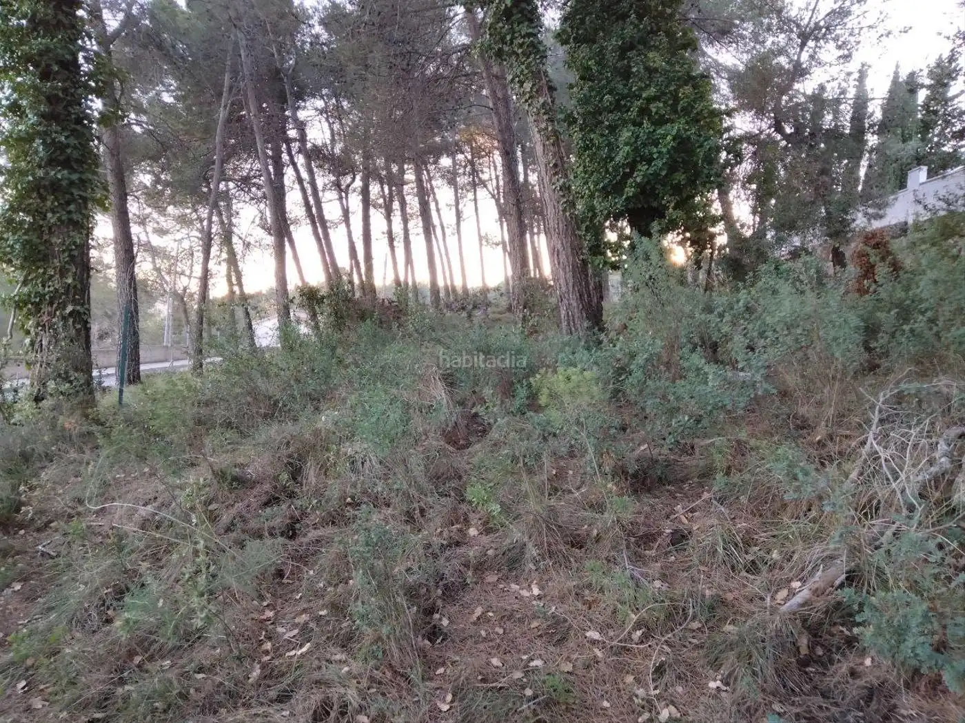 Terreno residencial en venta en Carrer del Segre 8, imagen 4