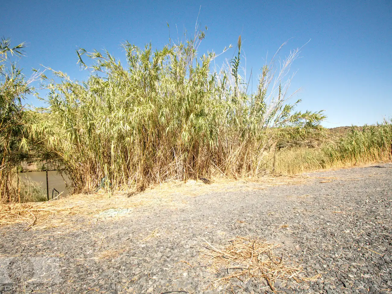 Finca rústica en venda en Sanlúcar de Guadiana