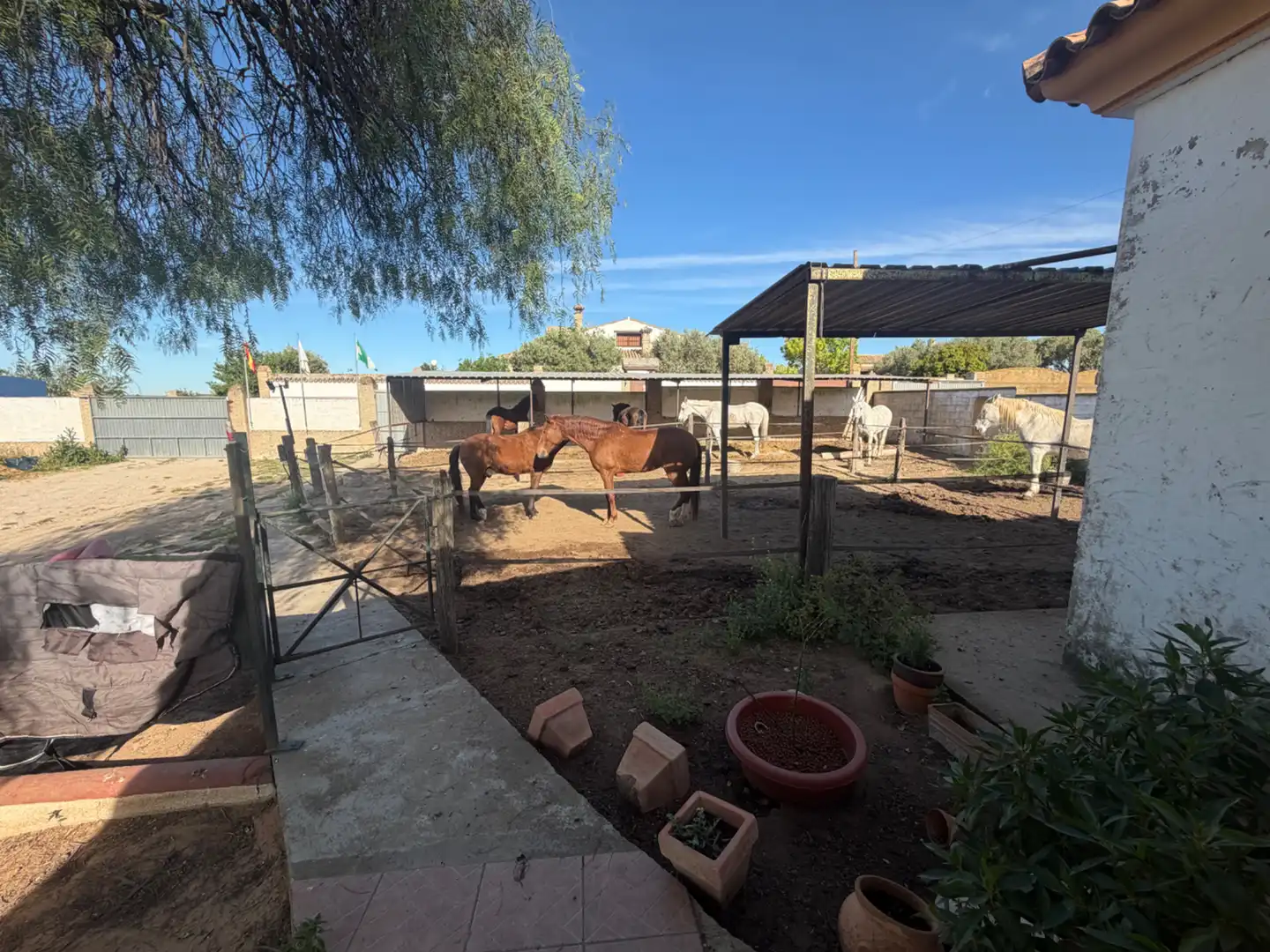 Vista exterior de Casa o chalet en venta en El Puerto de Santa María con Calefacción, Jardín privado y Terraza