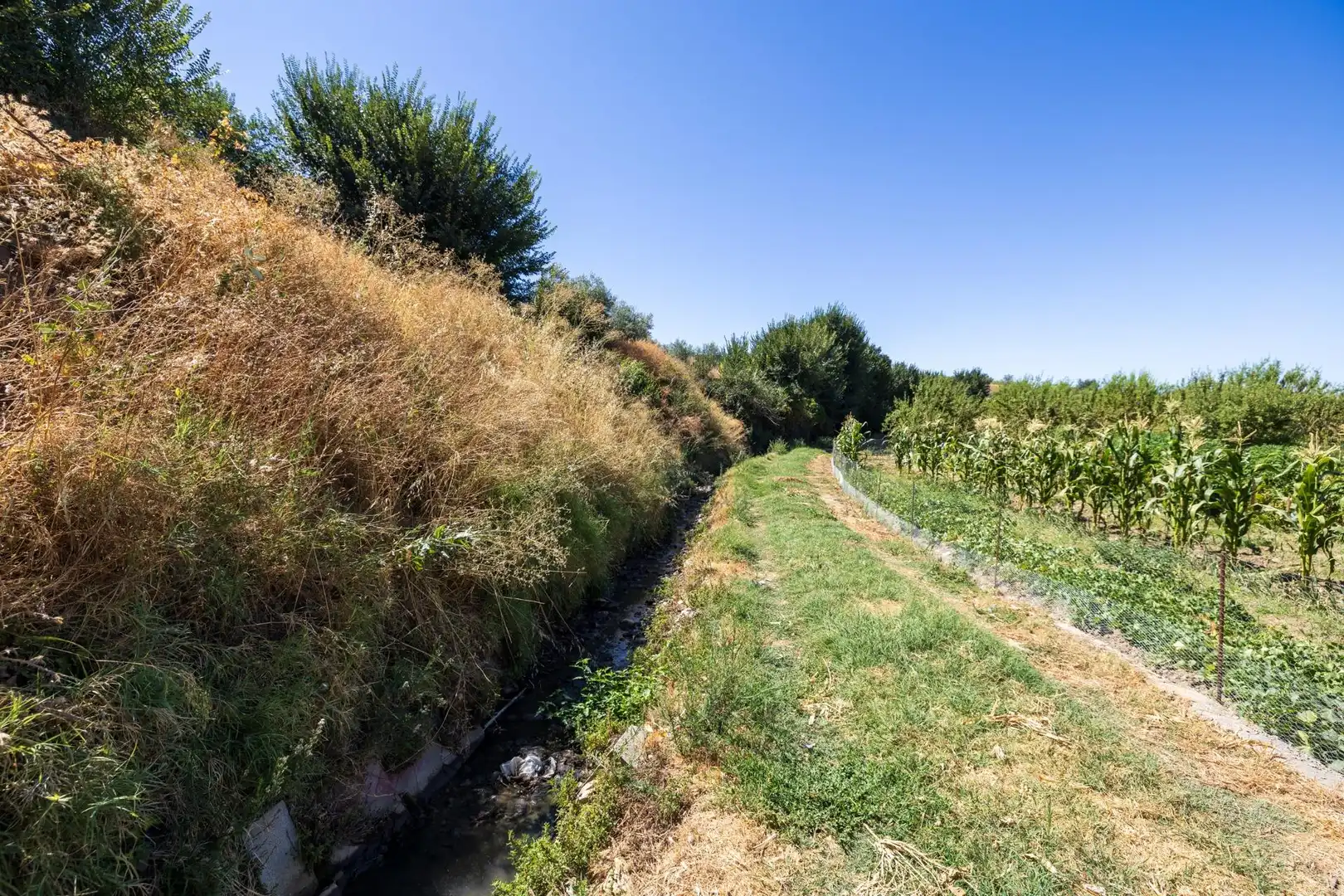 Terreno rustico in vendita a Polígono de Otura, imagen 10
