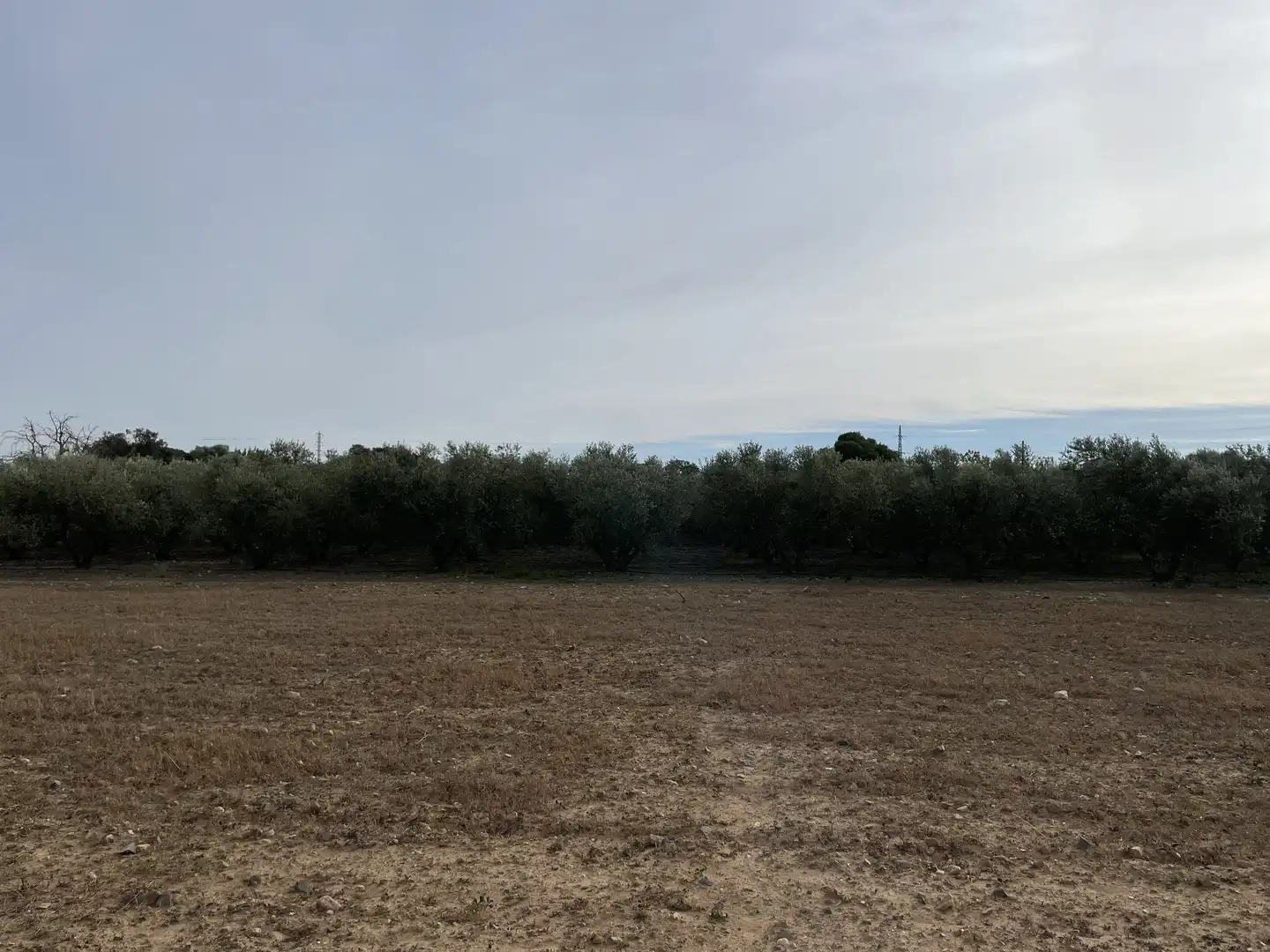 Land for sale in Cambrils