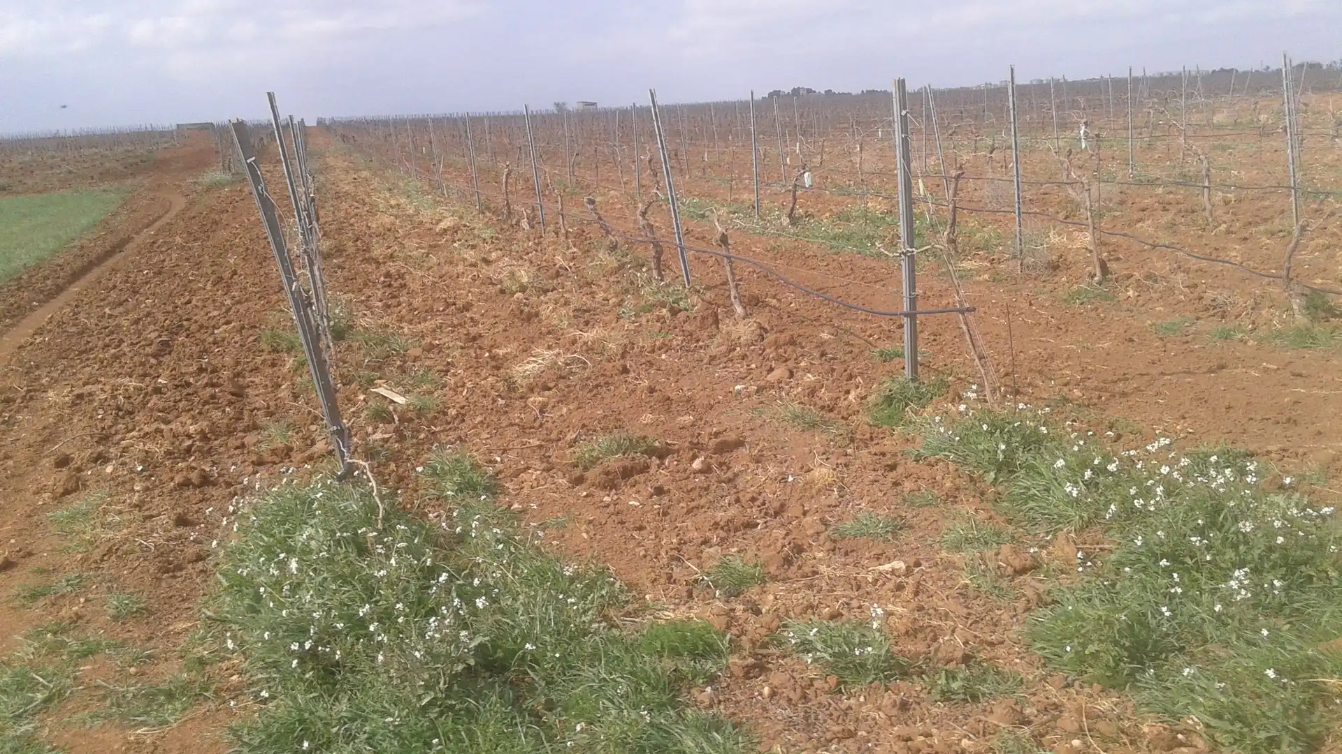 Terrenys i solars en venda a Las Mesas, imagen 12
