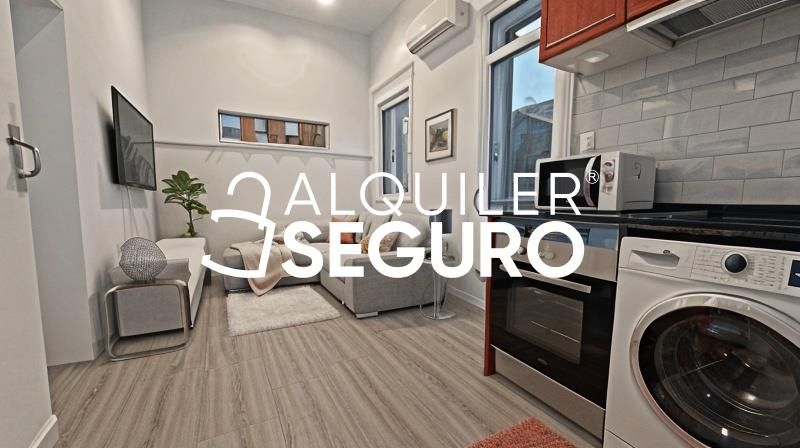 Sala d'estar de Pis de lloguer en  Madrid Capital amb Aire condicionat, Calefacció i Moblat