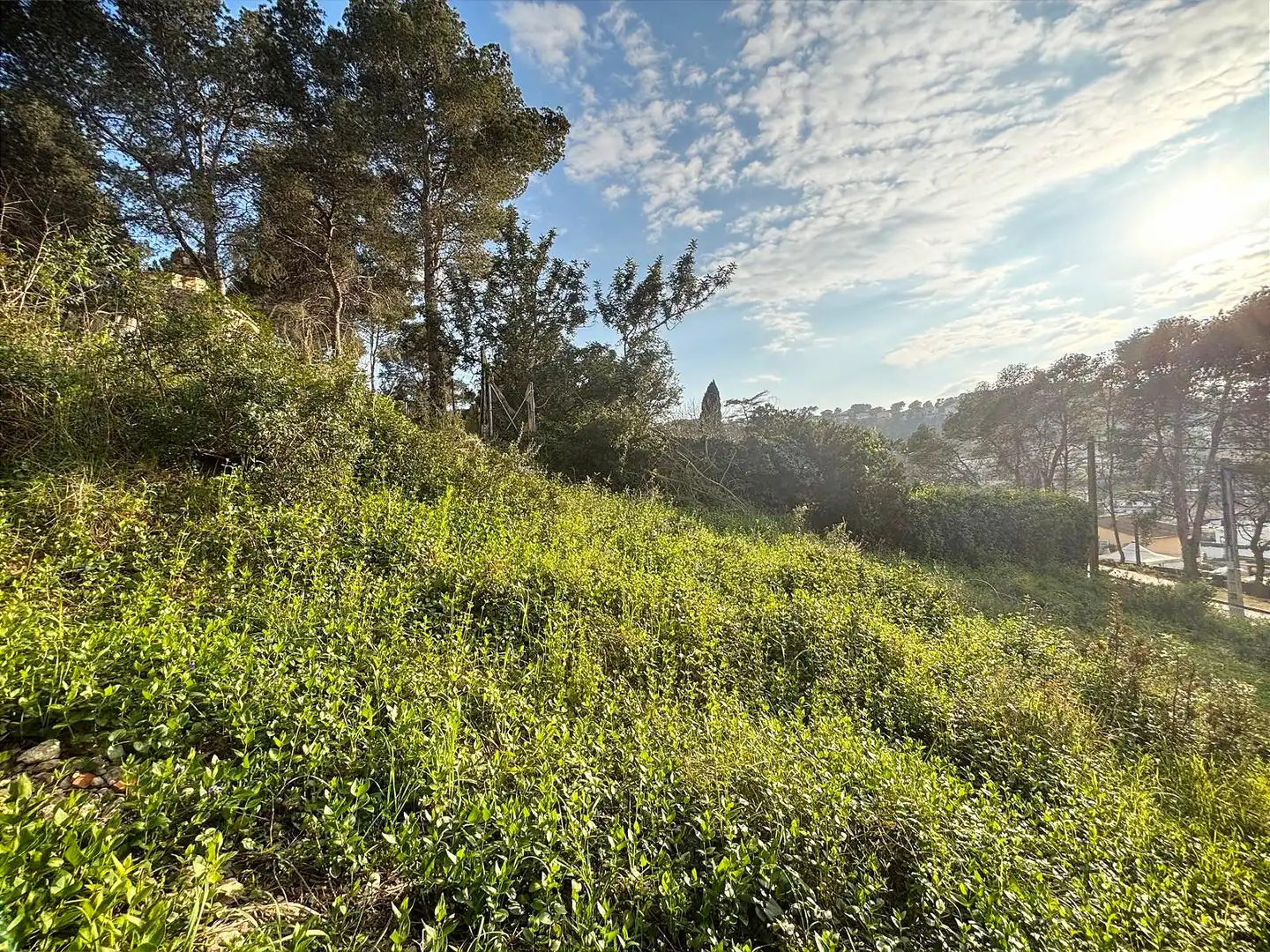 Terreno residencial en venta en Canyelles, imagen 12