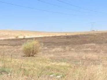 Terreni e lotti in vendita a Sur