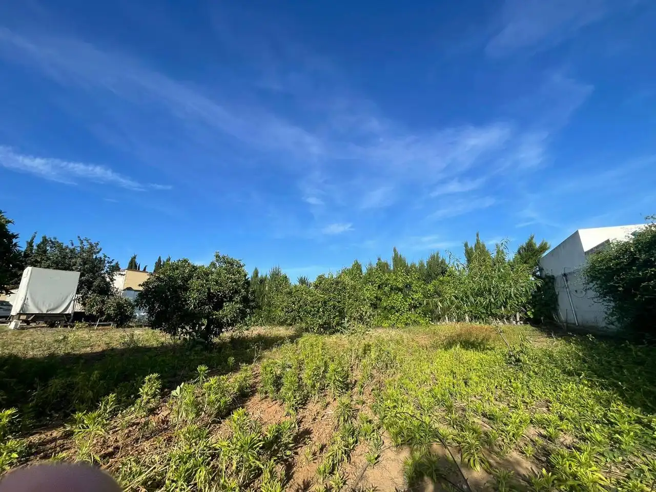 Lands and plots for sale in La Puebla del Río