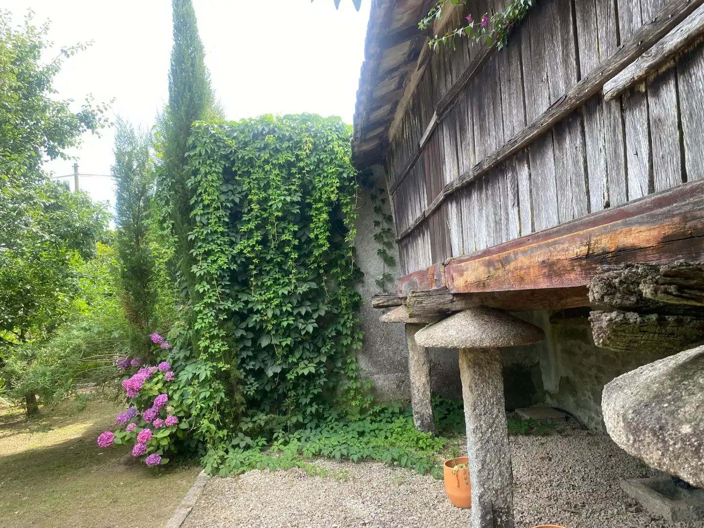 Jardín de Casa o chalet en venta en Portas con Jardín privado, Terraza y Trastero