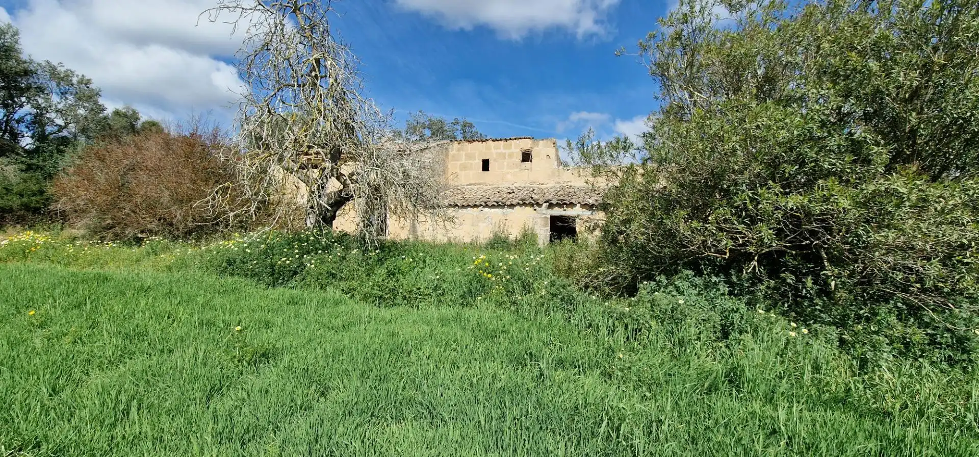 Country homes for sale in Manacor