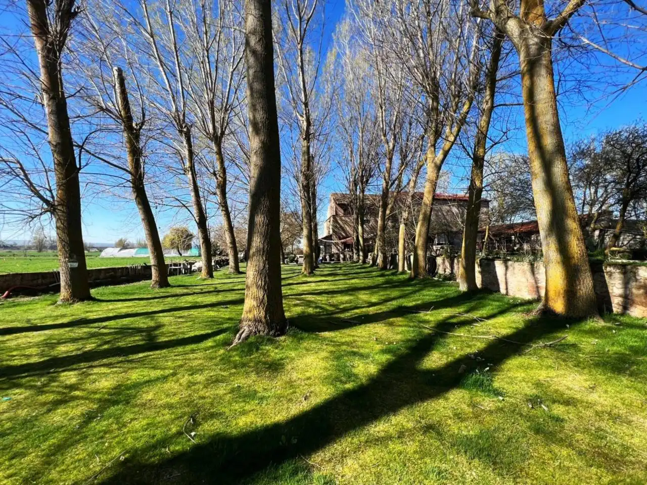 Jardín de Casa o chalet en venta en Frandovínez