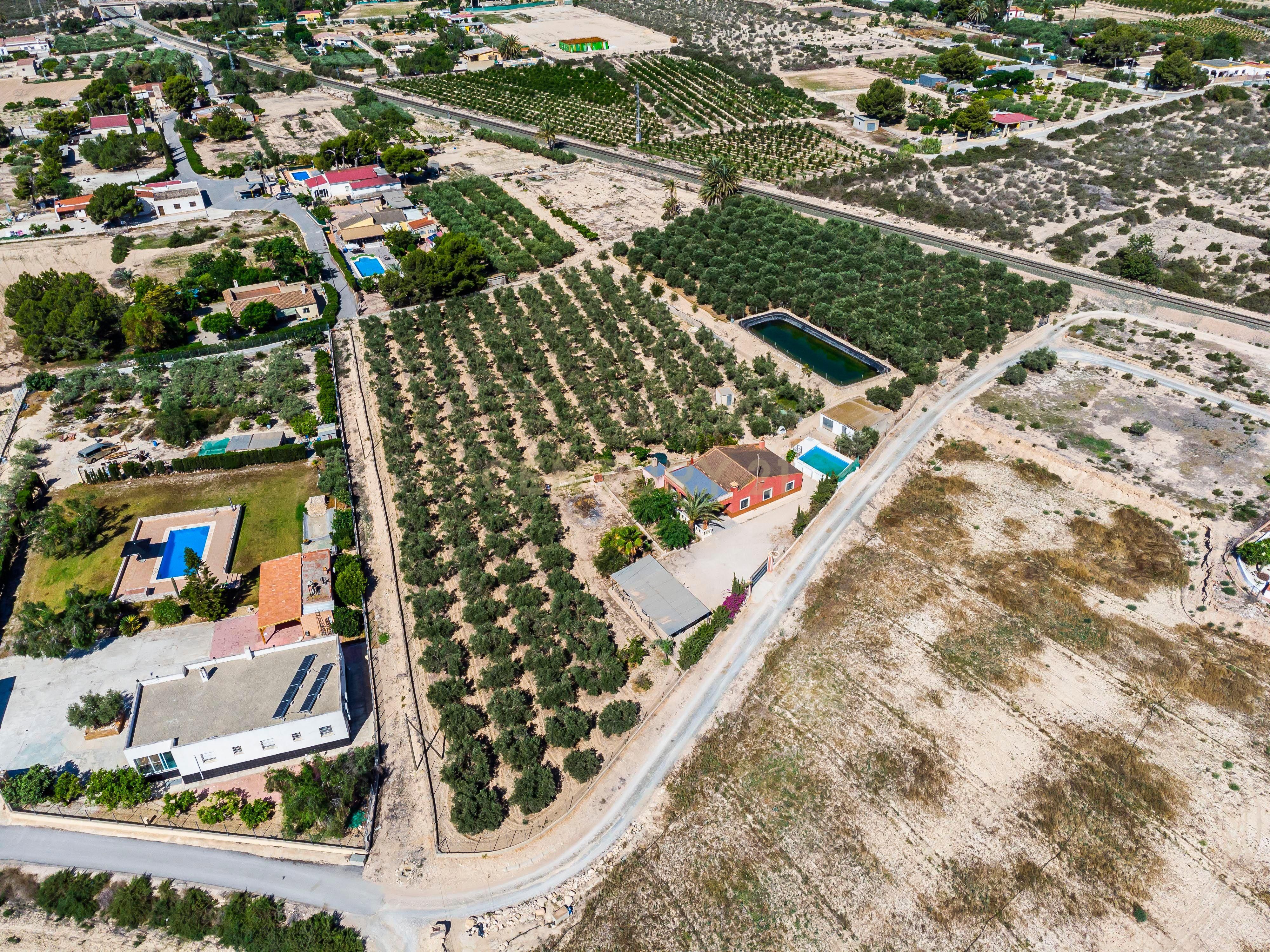 Casa o chalet en venta en Elche / Elx