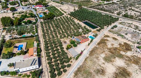 Chalet independiente con piscina construido sobre una parcela de 11.000 m2 con muchas sorpresas en partida de Matola, Elche.