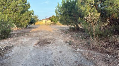 Photo 2 of House or chalet to rent in Calle Cigueña, Sanlúcar la Mayor, Sevilla