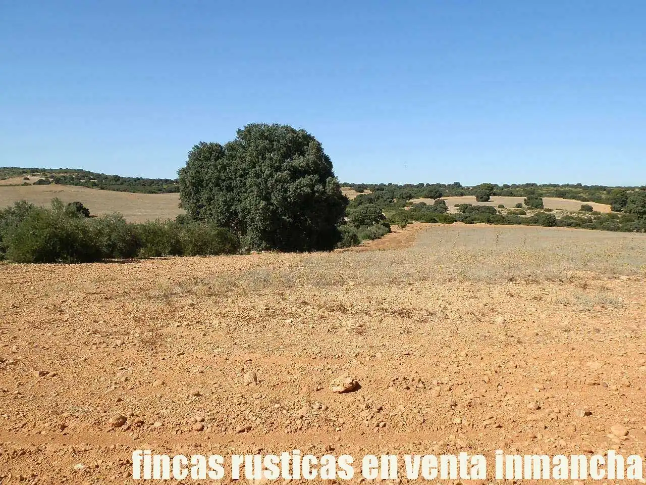 Terreno en venta en Albacete