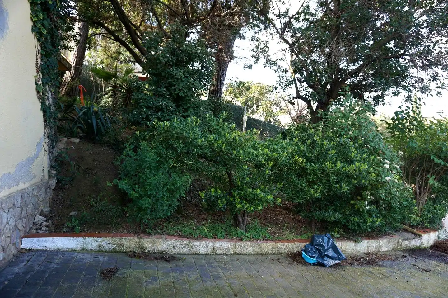 Maison avec jardin à vendre à Mas Mora - Sant Daniel, imagen 36
