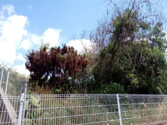 Terreno residencial en Venta en Cabrera d'Anoia