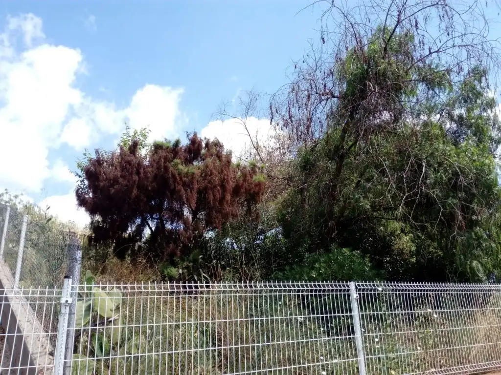 Residential land for sale in Cabrera d'Anoia