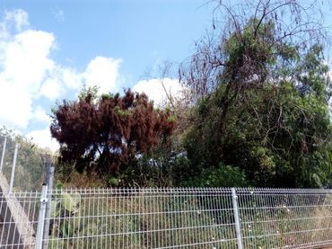Wohnbaugrundstück zum Verkauf in Cabrera d'Anoia