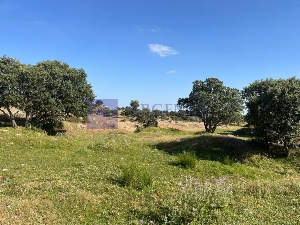 Casa o xalet en venda a Poligono 19 Paraje 668 Marrada De La Sociedad, Estación Arroyo Malpartida