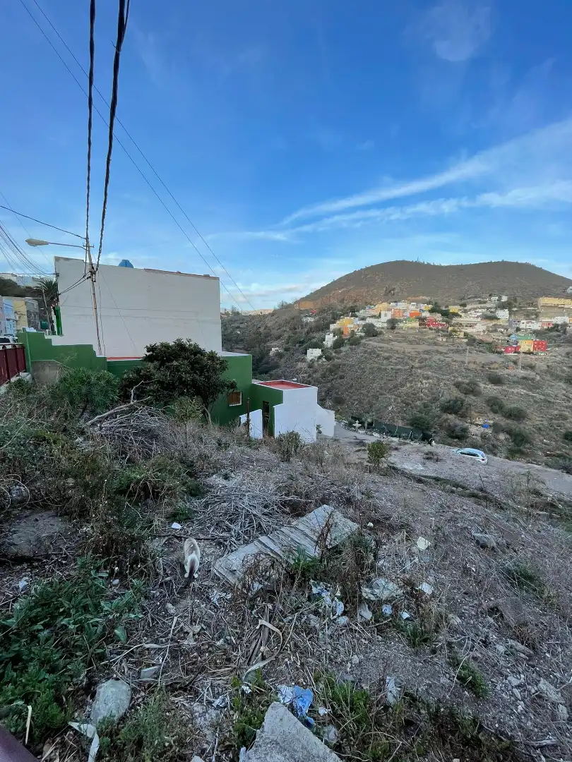Vista exterior de Casa o chalet en venta en Las Palmas de Gran Canaria con Jardín privado, Terraza y Trastero