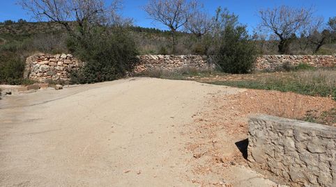 Foto 3 de Terreny en venda a Barona, Vall d'Alba, Castellón