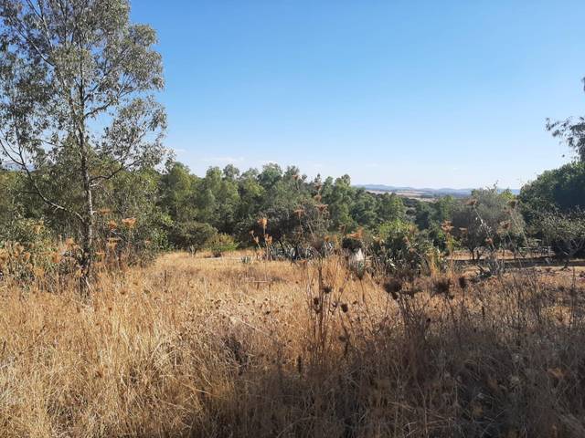 Terreno en Venta en Ceres Golf