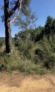 Terreni e lotti in vendita a Riudecanyes, imagen 11
