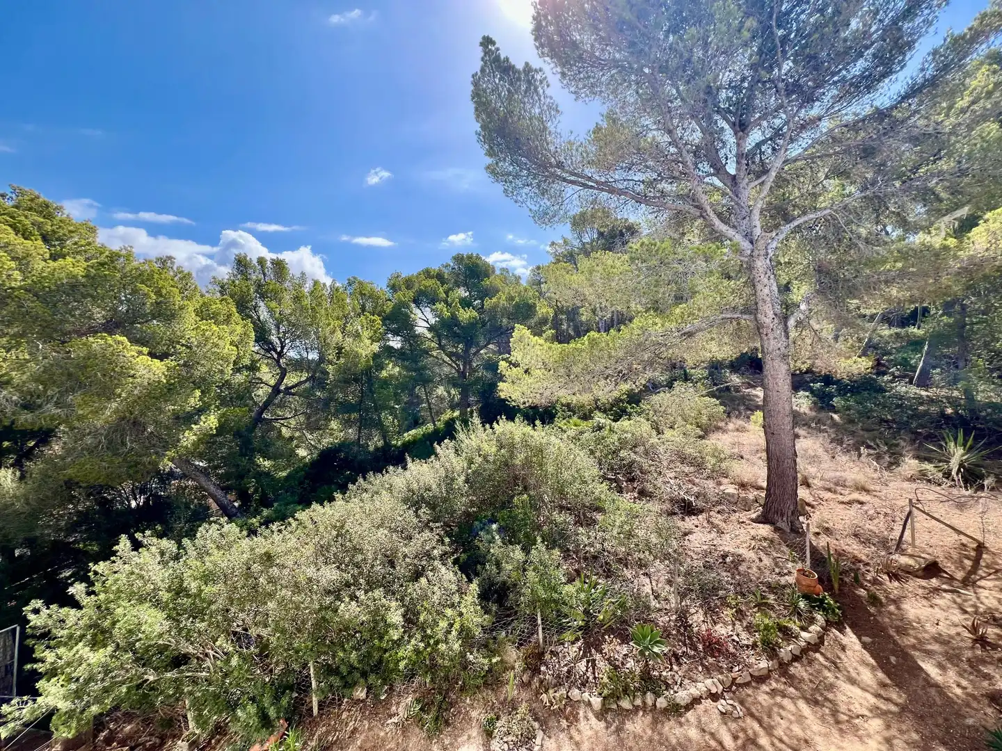 Apartament en venda en Andratx amb Terrassa, Traster i Piscina comunitària