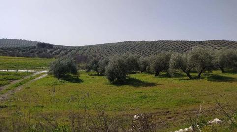 Photo 5 of Residential for sale in Sitio Los Calabozos, -1, Torredonjimeno, Jaén