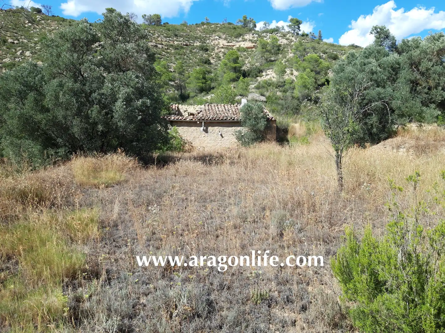 Finca rústica en venta en Fabara