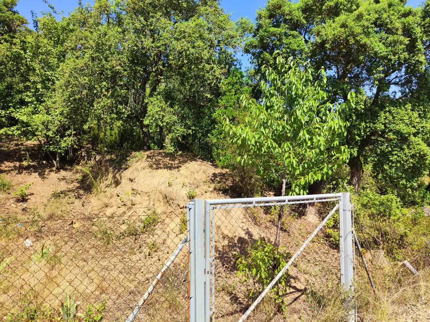 Lands and plots for sale in Llagostera, imagen 2